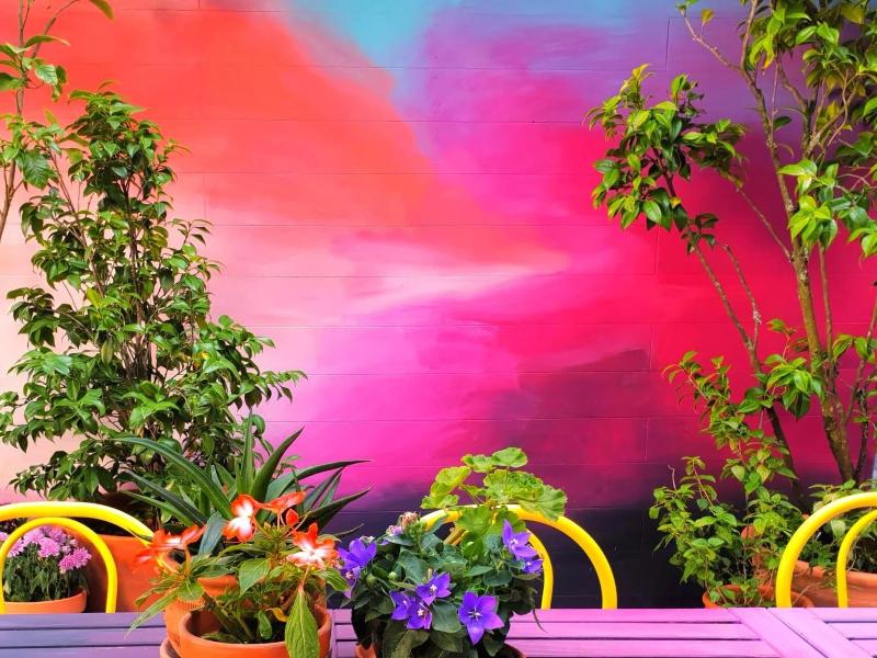 Supernova - Hostel - Genel