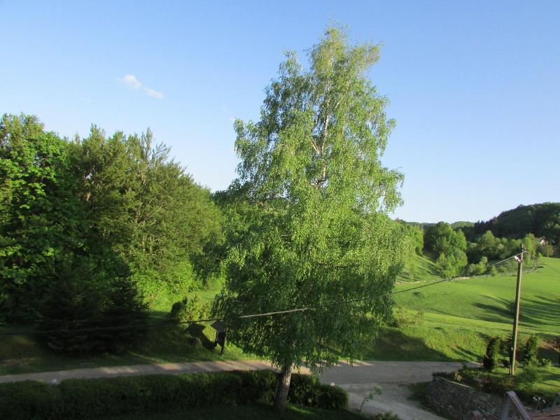 Pansion Breza - Oda
