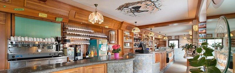 Hotel Gallo Cedrone - Bar