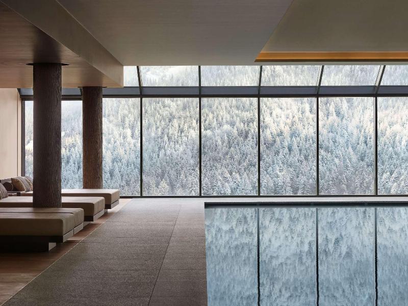 Lefay Resort & SPA Dolomiti - Havuz