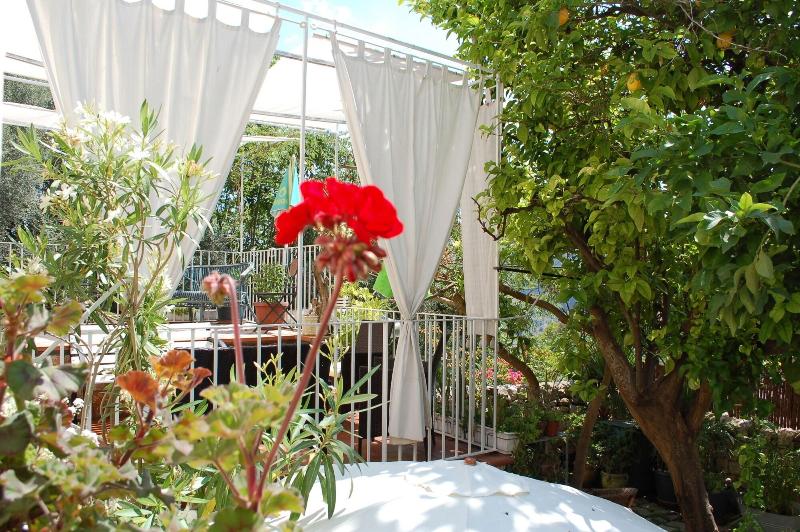 B&B Il giardino dei sospiri - Genel