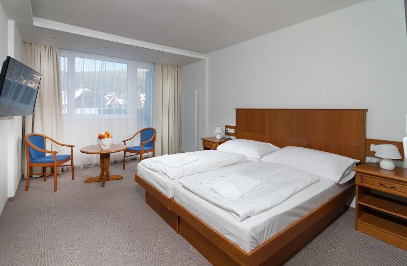 Hotel Astra - Oda