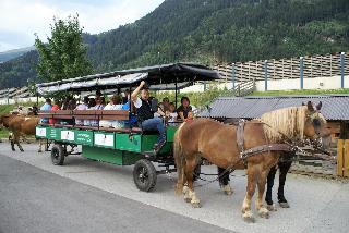 Hotel Bachmayerhof fotoÄŸrafÄ±