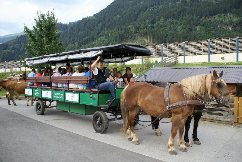 Hotel Bachmayerhof - Aktivite