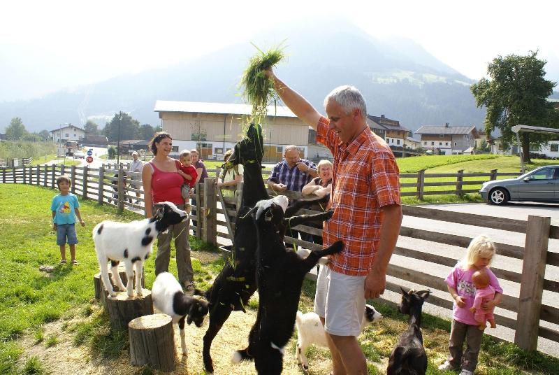 Hotel Bachmayerhof - Aktivite