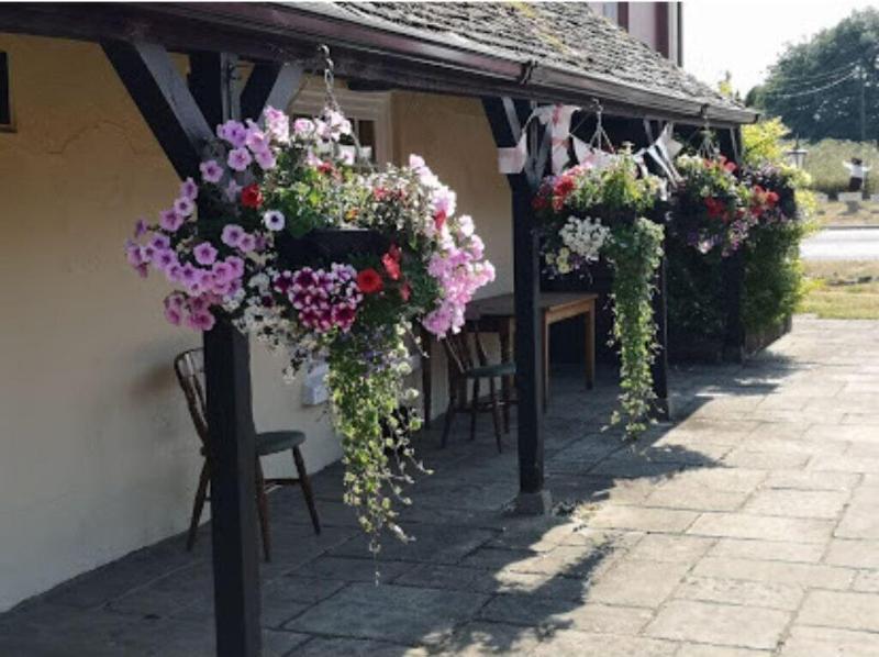 The Red Lion - Genel