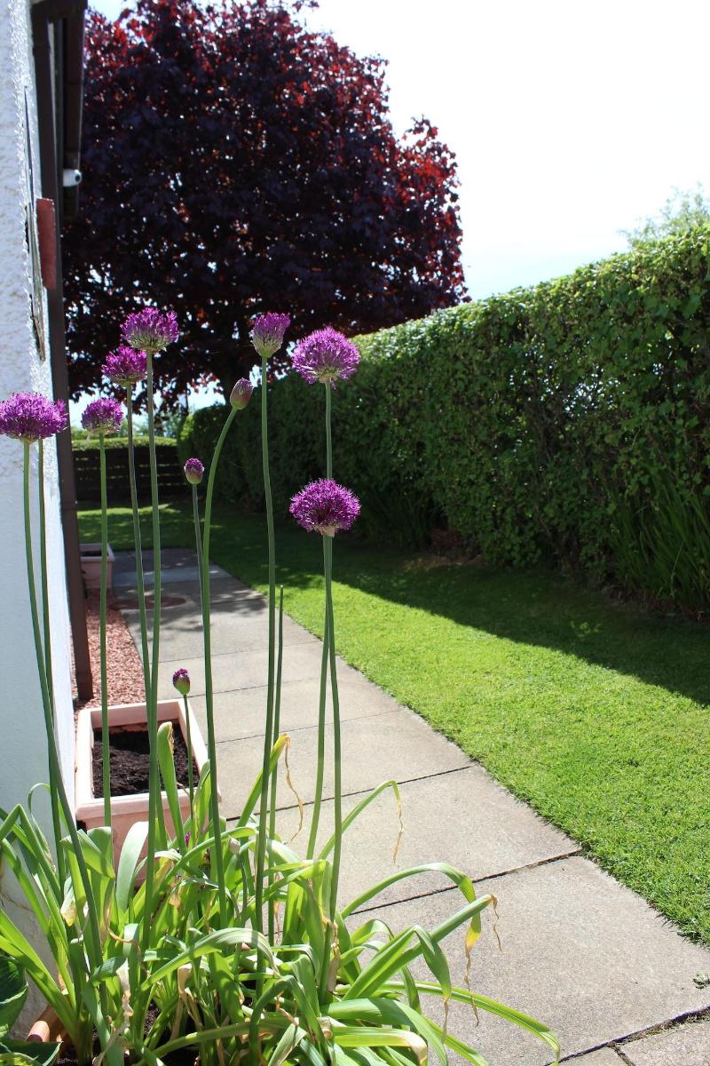 Whitecroft Bed And Breakfast - Genel