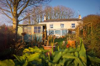 Vine Cottage - B&B fotoÄŸrafÄ±