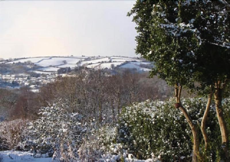 Vine Cottage - B&B - Genel