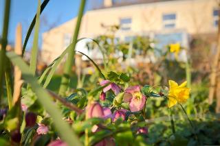 Vine Cottage - B&B fotoÄŸrafÄ±