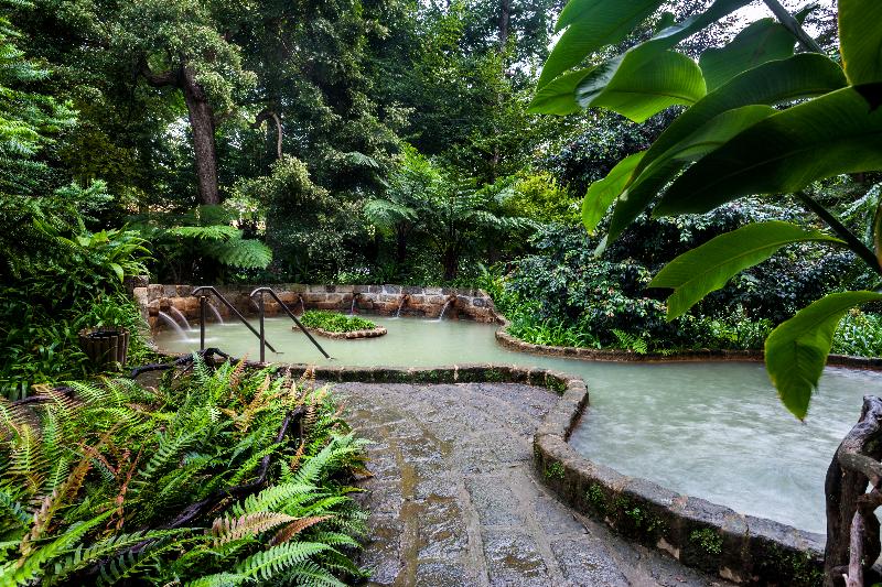 Terra Nostra Garden Hotel - Havuz