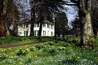 Elm Grove Country House otel fotoğrafı