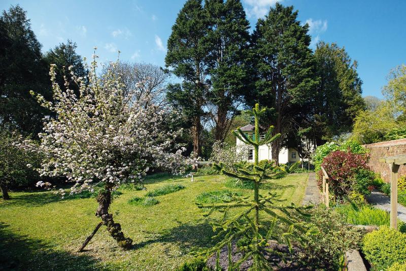 Elm Grove Country House - Teras