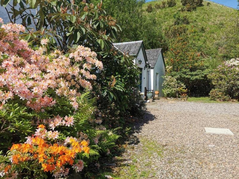 The Old Cottage - Genel