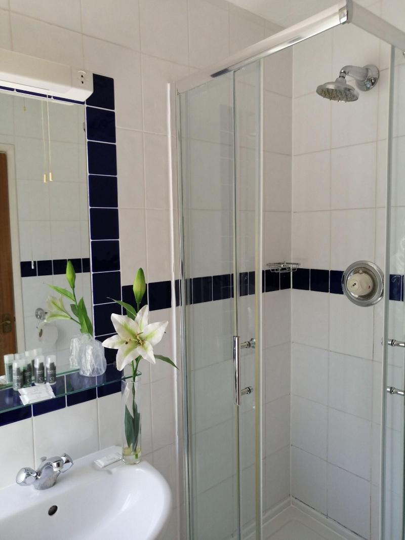 Tudor Lodge Hotel - Oda