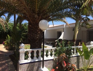 San Valentin & Terraforpark