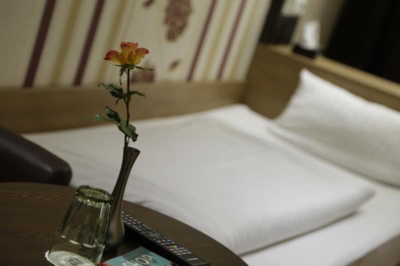 Alexander Business Hotel - Oda