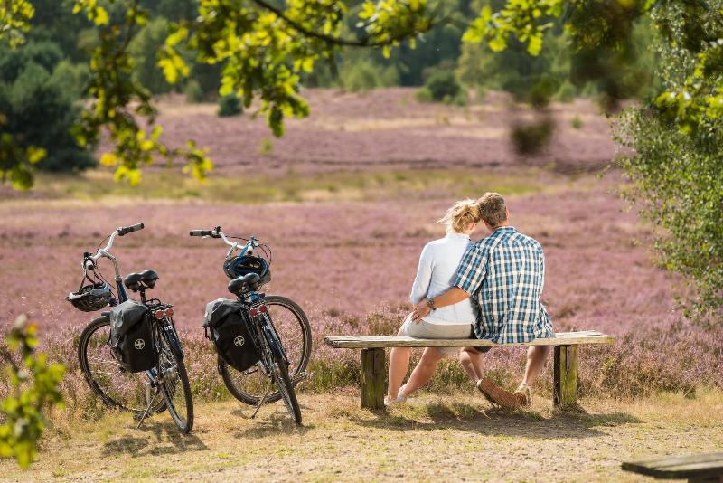 Hotel & Pension Dat greune Eck - Aktivite