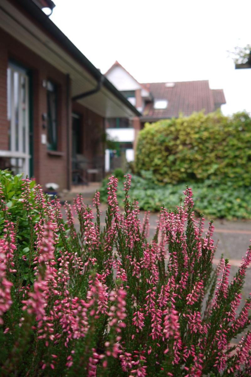 Hotel & Pension Dat greune Eck - Genel