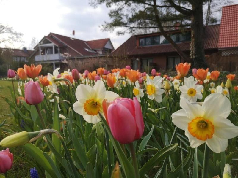 Hotel & Pension Dat greune Eck - Genel