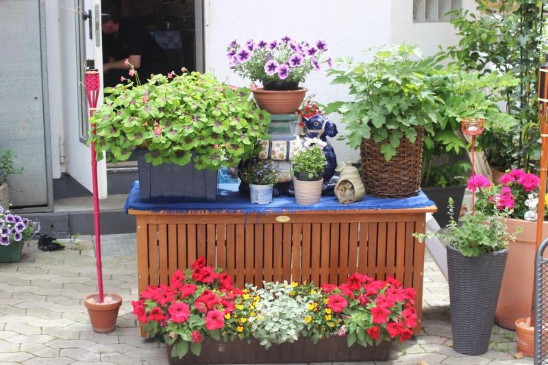 Pension Restaurant Mainzer Tor - Genel
