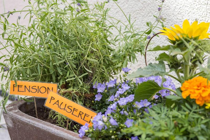 Pension Pauserei - Genel