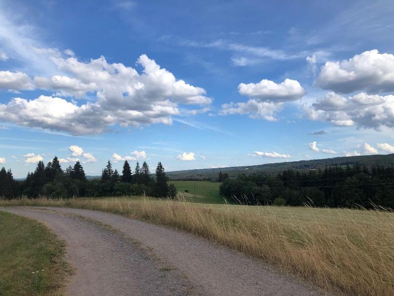 Schwarzwaldhaus Angelhof - Aktivite