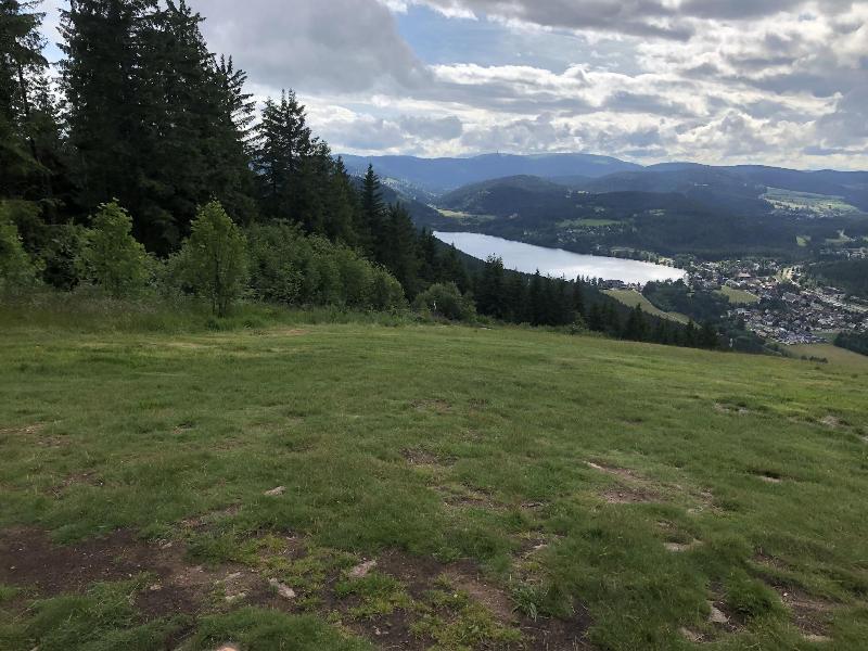 Schwarzwaldhaus Angelhof - Aktivite