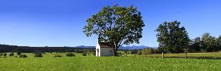 Gasthof Lamprecht fotoÄŸrafÄ±