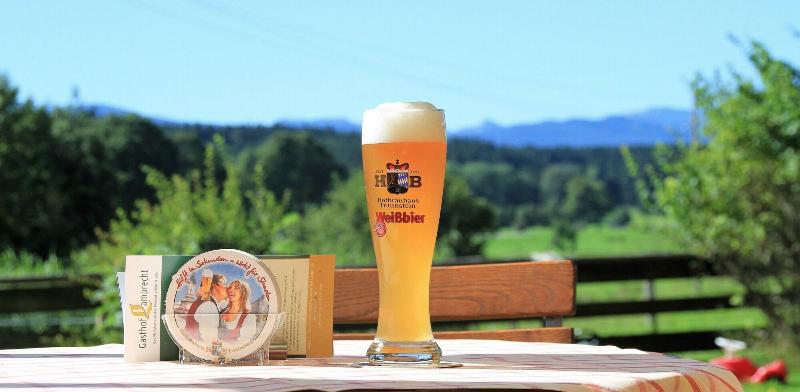 Gasthof Lamprecht - Teras