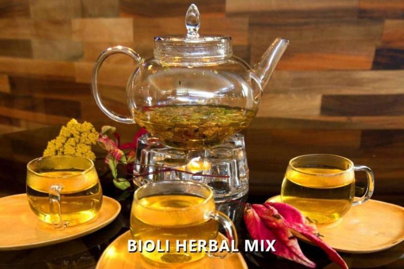 Bioli Medical Wellness Resort - Bar
