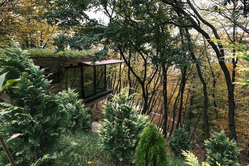 Bioli Medical Wellness Resort - Oda