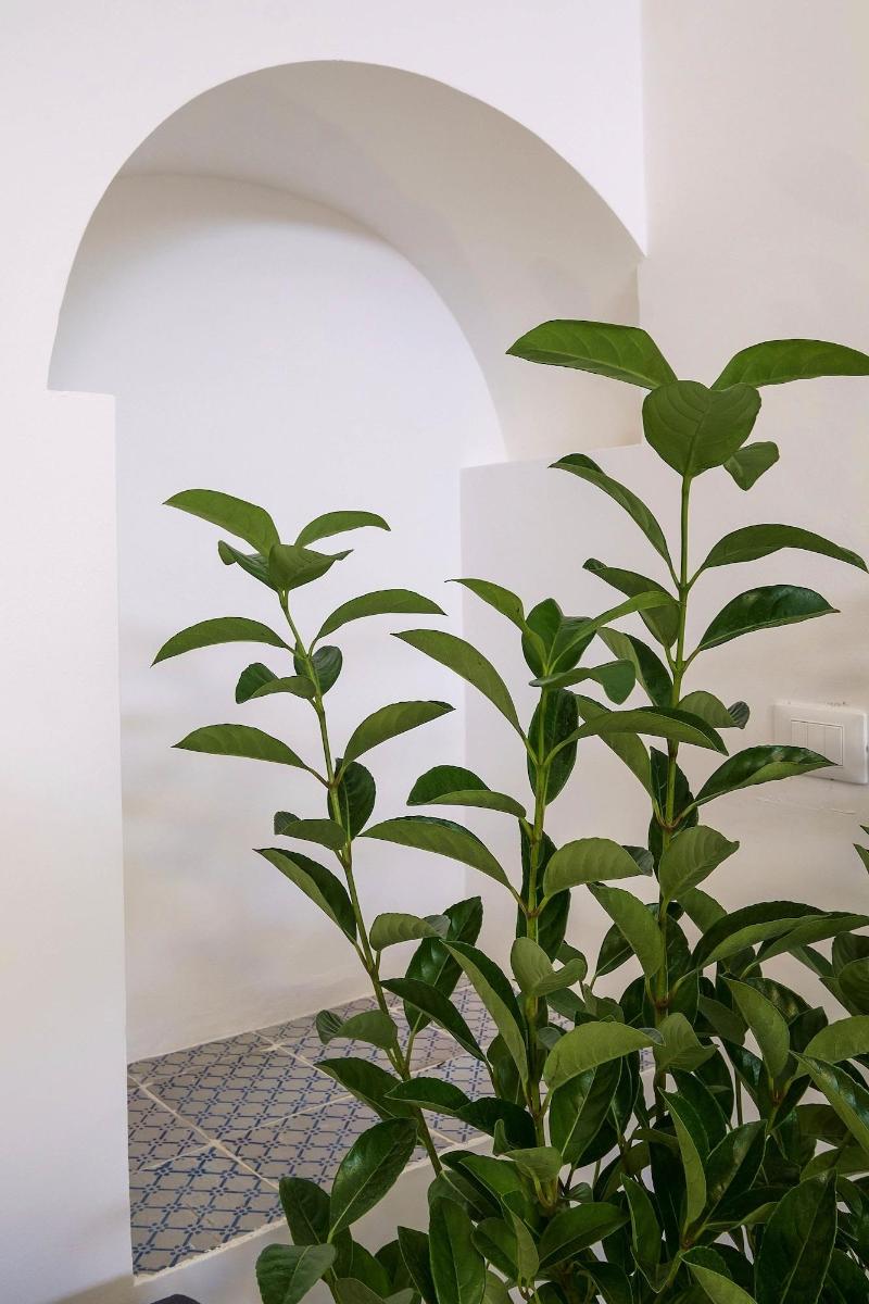 B&B Cala Peppa - Lobi