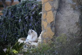 B&B Eyexei Domus otel fotoğrafı