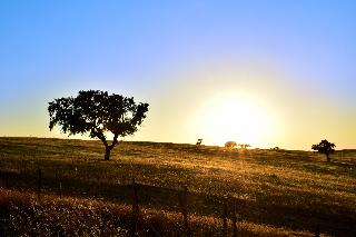 Pousada Castelo de Estremoz fotoÄŸrafÄ±