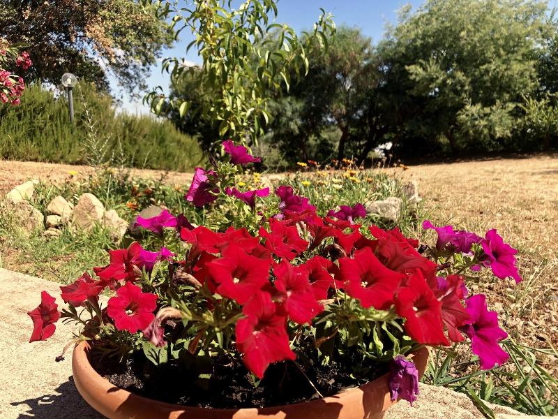 Agriturismo Gli Oleandri - Genel