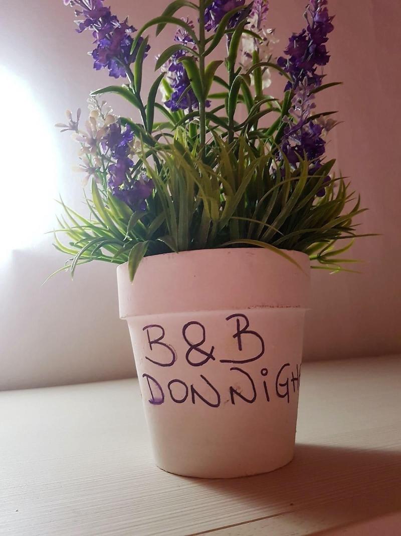 B&B Su Donnigheddu - Oda
