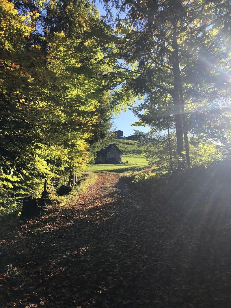 Boutiquehotel Bergvilla - Aktivite