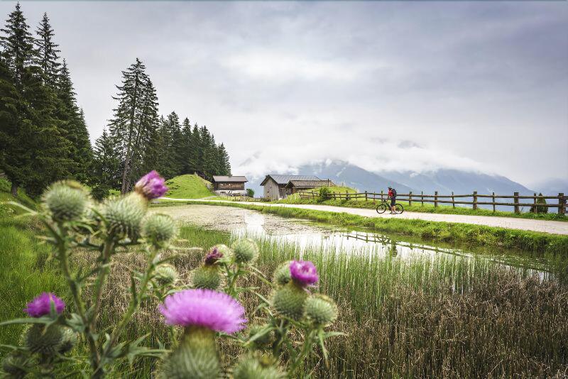 Boutiquehotel Bergvilla - Genel