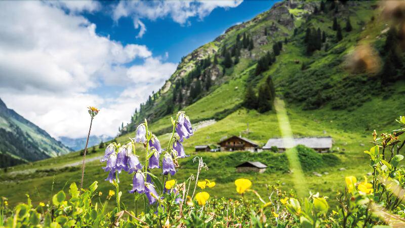 Boutiquehotel Bergvilla - Genel