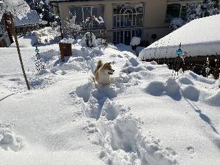 Boutiquehotel Bergvilla fotoÄŸrafÄ±