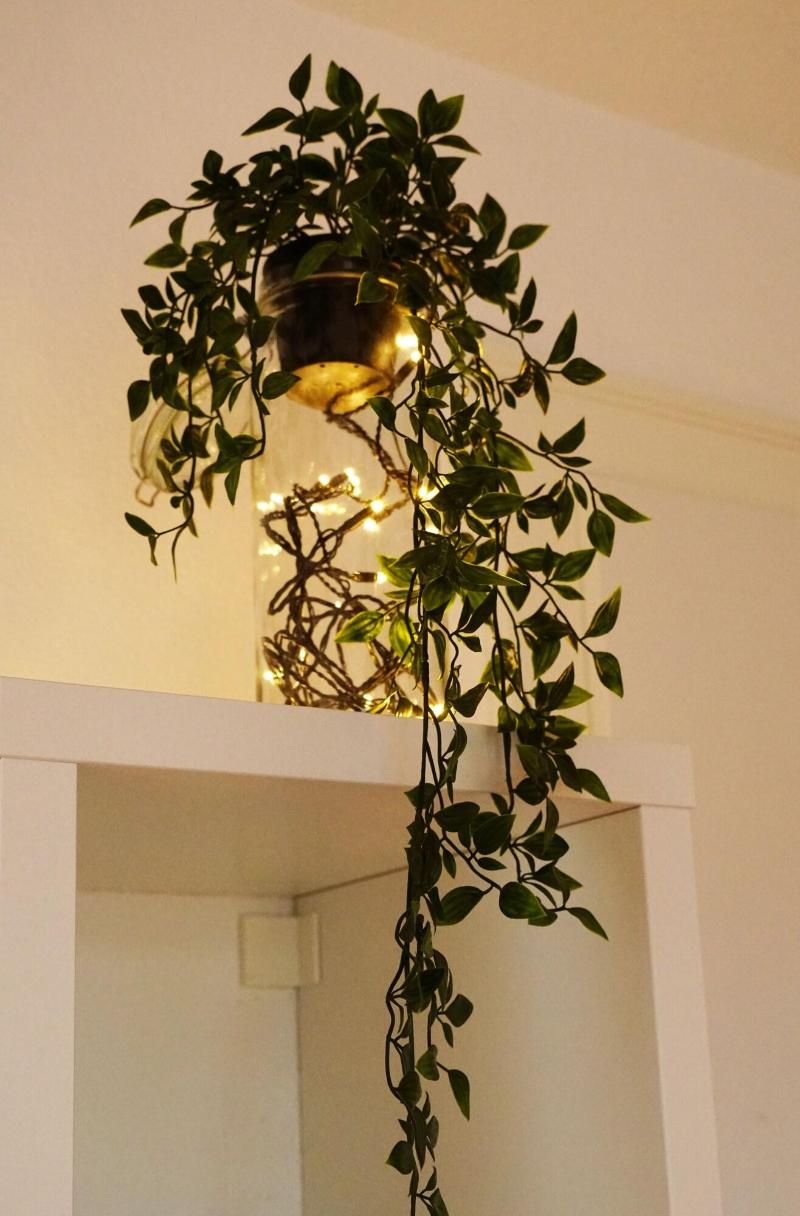 Adventure Guesthouse - Lobi