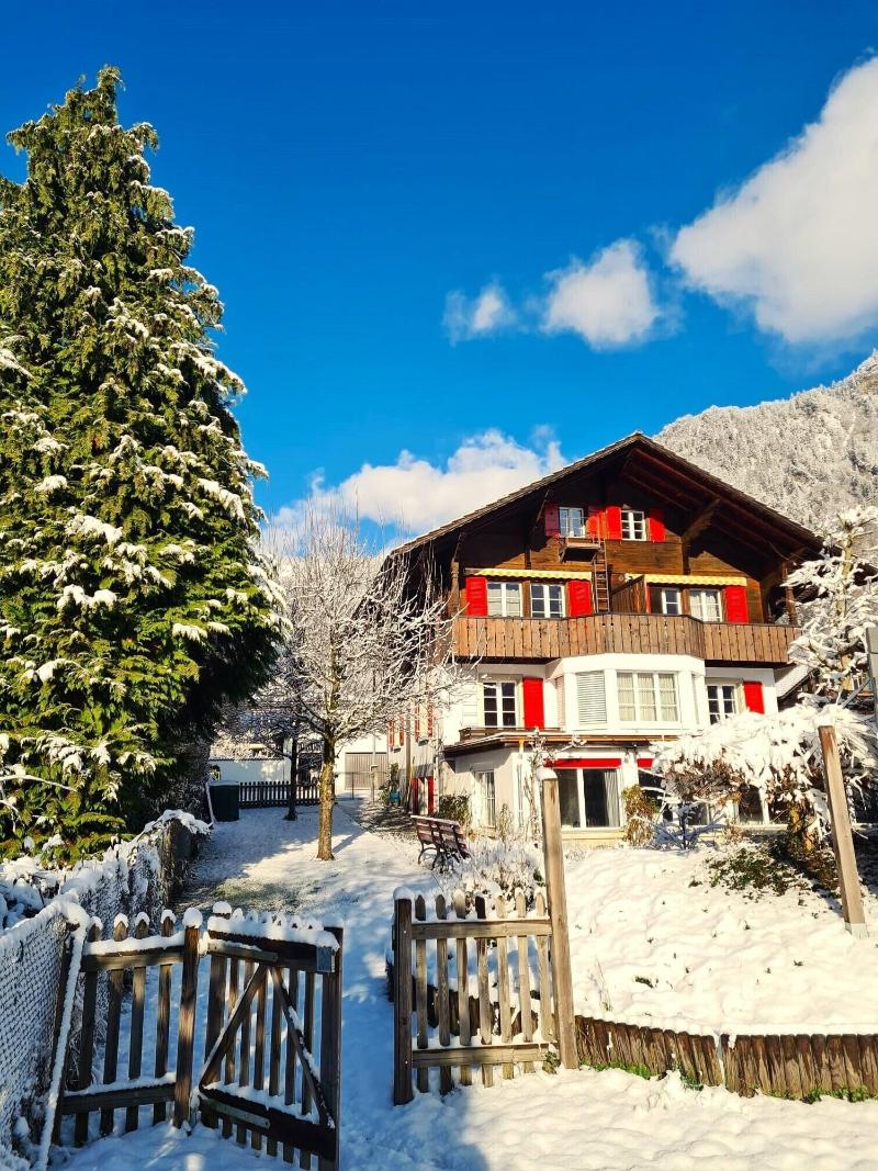 Adventure Guesthouse - Genel