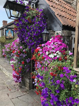 The Carpenters Arms fotoÄŸrafÄ±