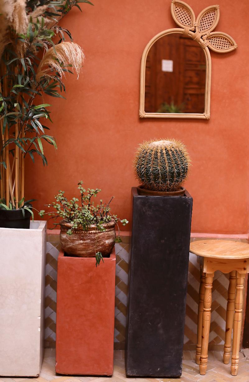 Riad Ambre Et Jasmin - Lobi