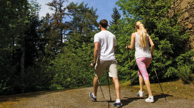 Wellnesshotel Jagdhof - Aktivite