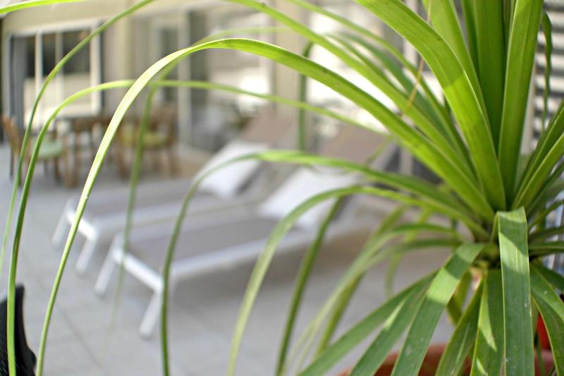 Eden Beach Apartments - Oda