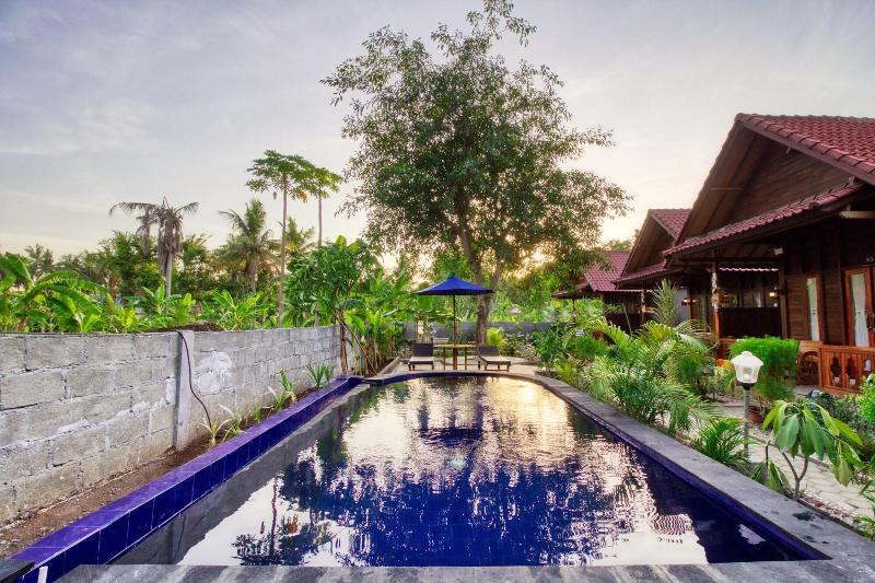 Asoka Bungalows - Aktivite