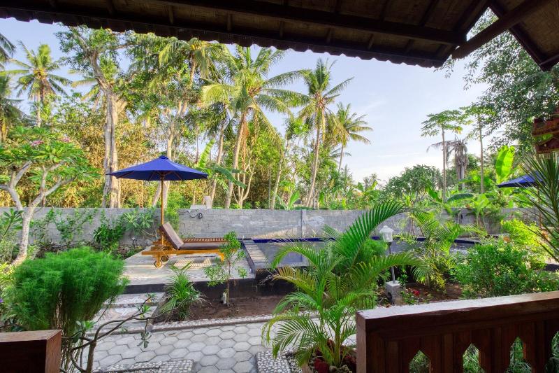 Asoka Bungalows - Aktivite