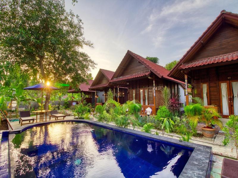 Asoka Bungalows - Aktivite